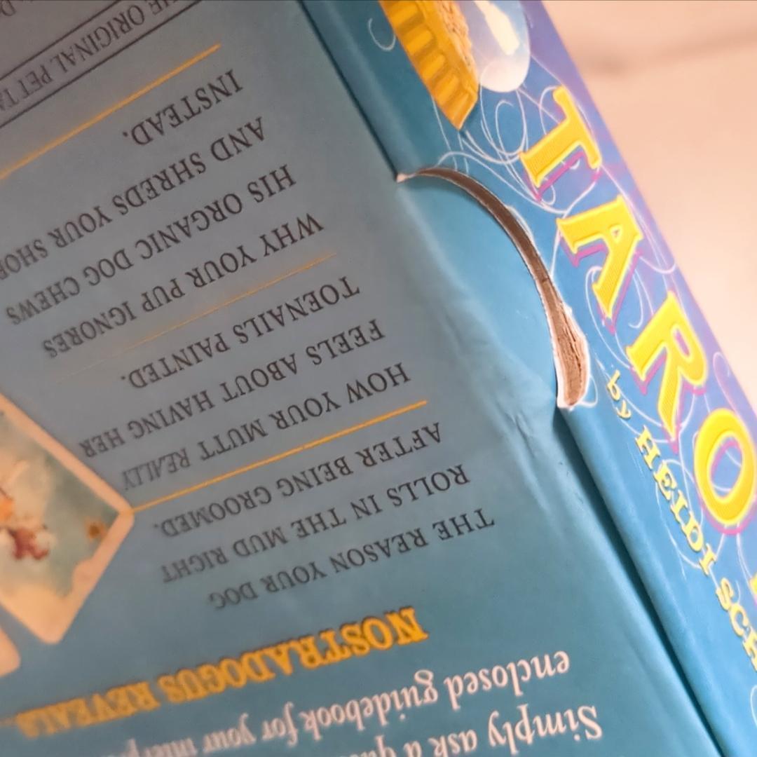 COCO★リピーター様割引