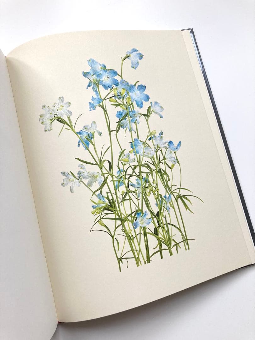 藤間謙二「The Most Beautiful Flowers」花の図鑑写真集