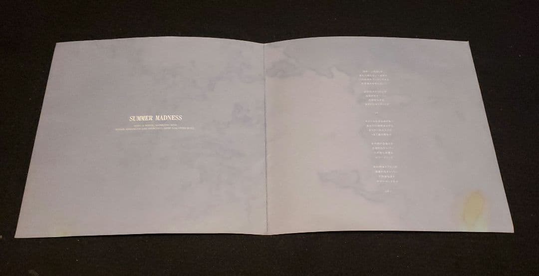 限定盤 下津光史 踊ってばかりの国 ソノシート 7inch