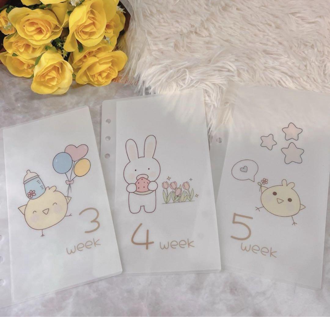 SAKURA☆ページ ⑩ ⑳ 67 オーダー