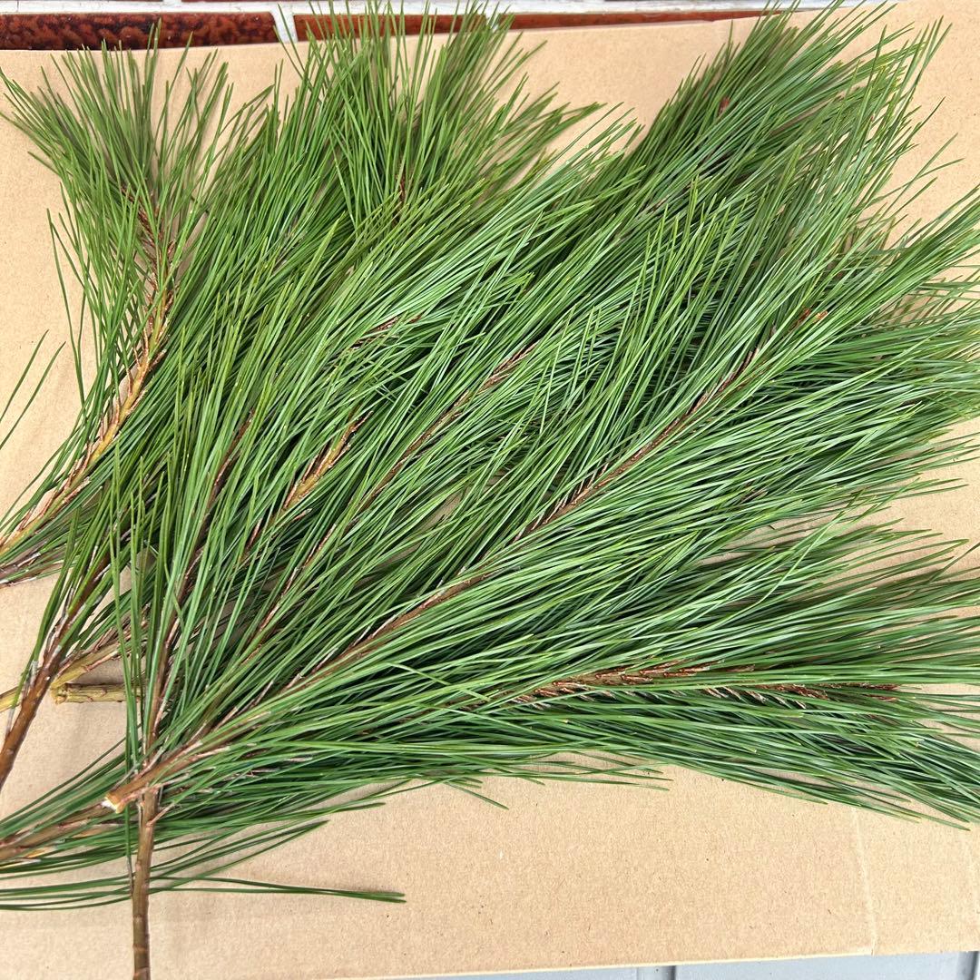 門松 ハンドメイド 世界で一点物 無農薬 自然素材 大サイズ一対2個 お正月