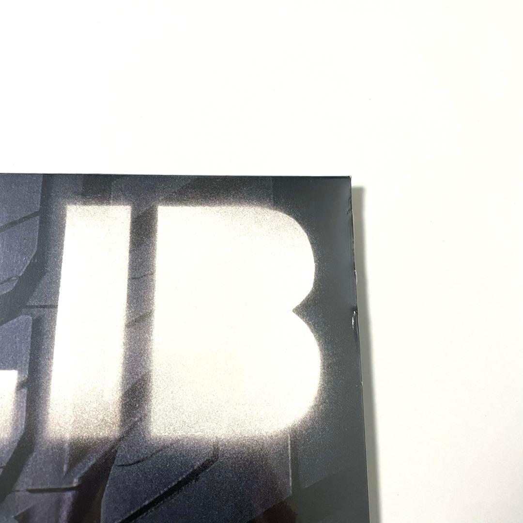 未開封 Jaylib / Champion Sound 2LP レコード