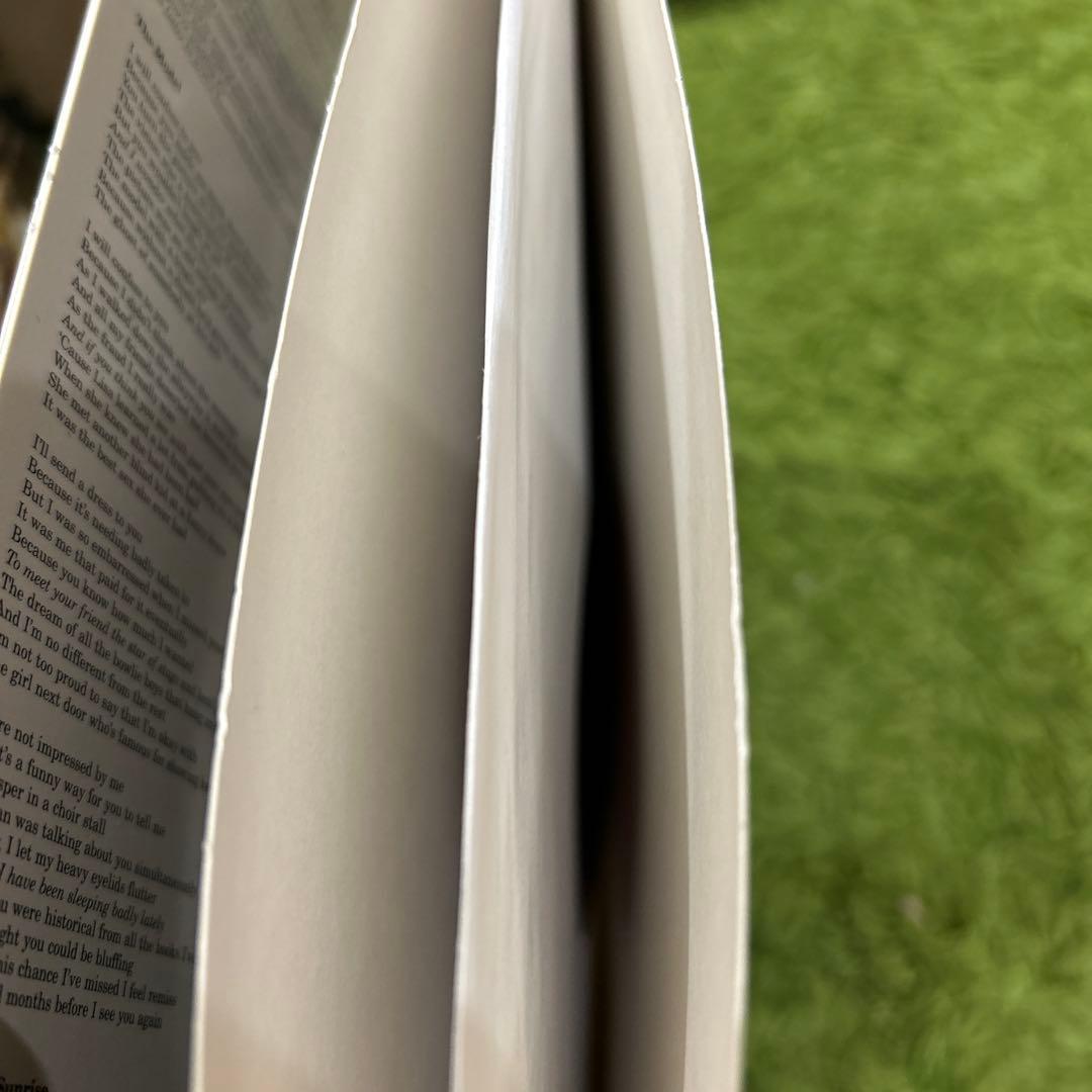 belle&sebastian わたしのなかの悪魔 アナログレコード　ベルセバ