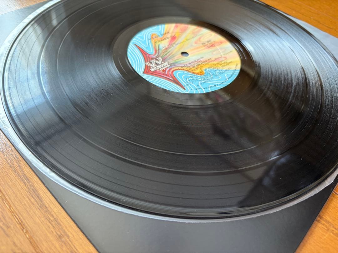 【超激レア】Funkadelic Maggot Brain USオリジナル