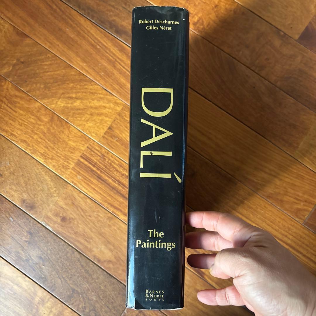 DALÍ The Paintings DALI ダリ全集 希少 英語版