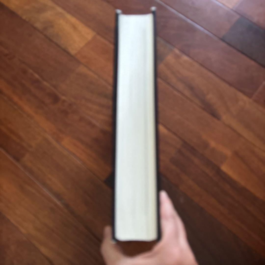 DALÍ The Paintings DALI ダリ全集 希少 英語版