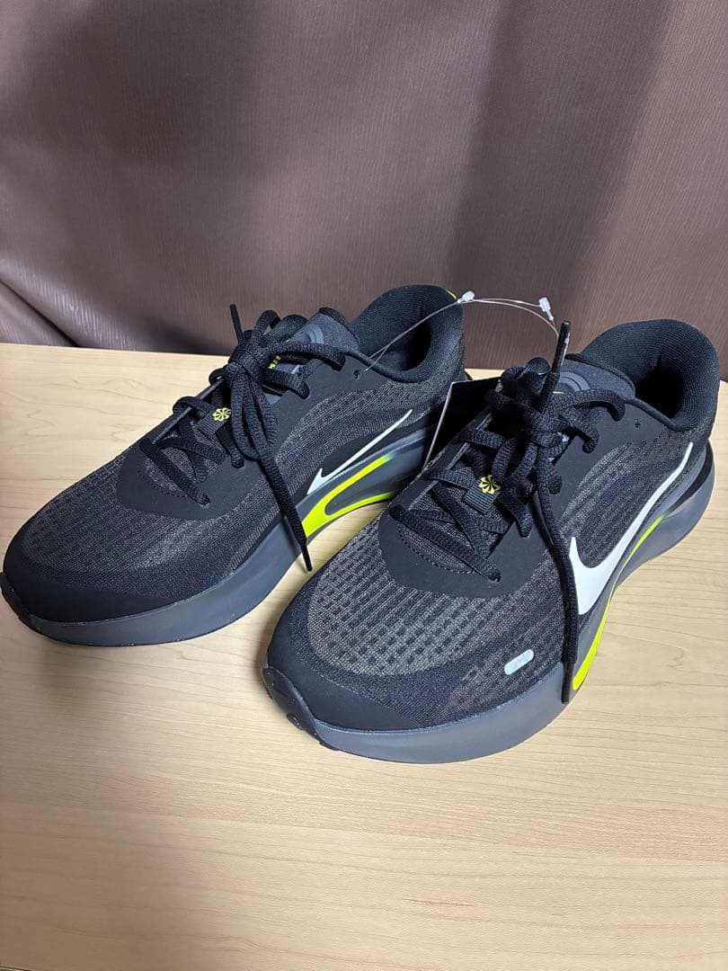 Nike ナイキ　ランニングシューズ ブラックFN0228-008 25.5cm