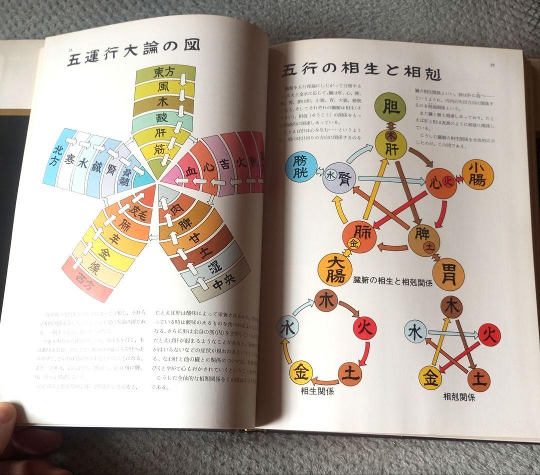 図説 東洋医学　山田光胤/代田文彦/はやし浩司