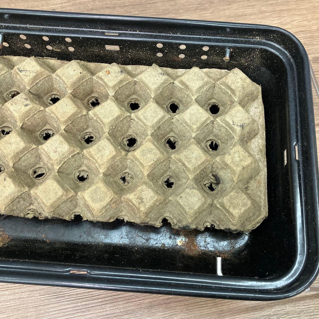 C-4 LEVIN 卓上バーベキューコンロ インスタント炭付き キャンプ