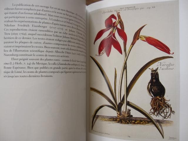 アート・デザイン・音楽 Masterpieces of Botanical Illustration