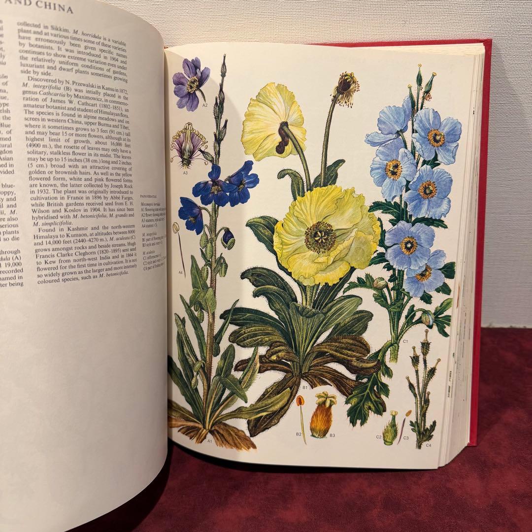 1210B⑩1970年初版植物図鑑　ジャンクジャーナル　ボタンニカル　洋書古書