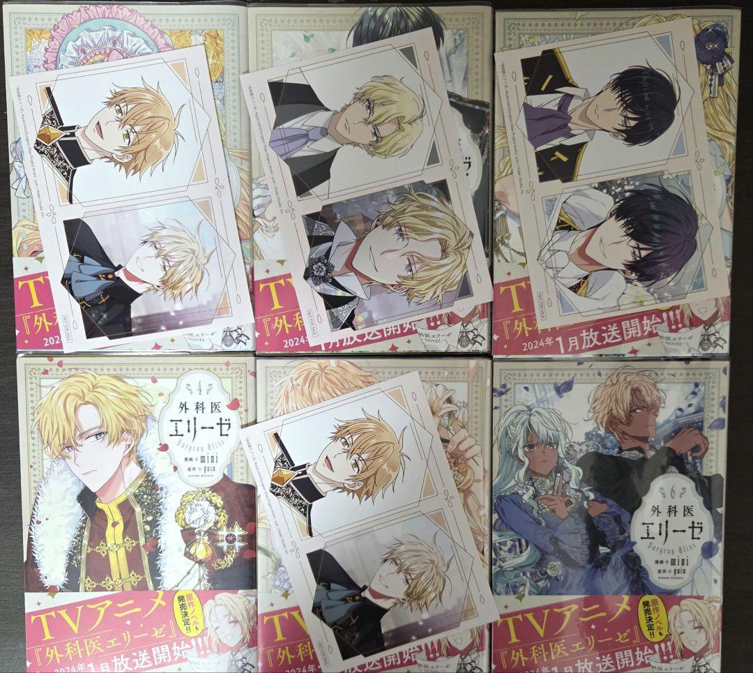 「外科医エリーゼ」全14巻+外伝 上下巻セット