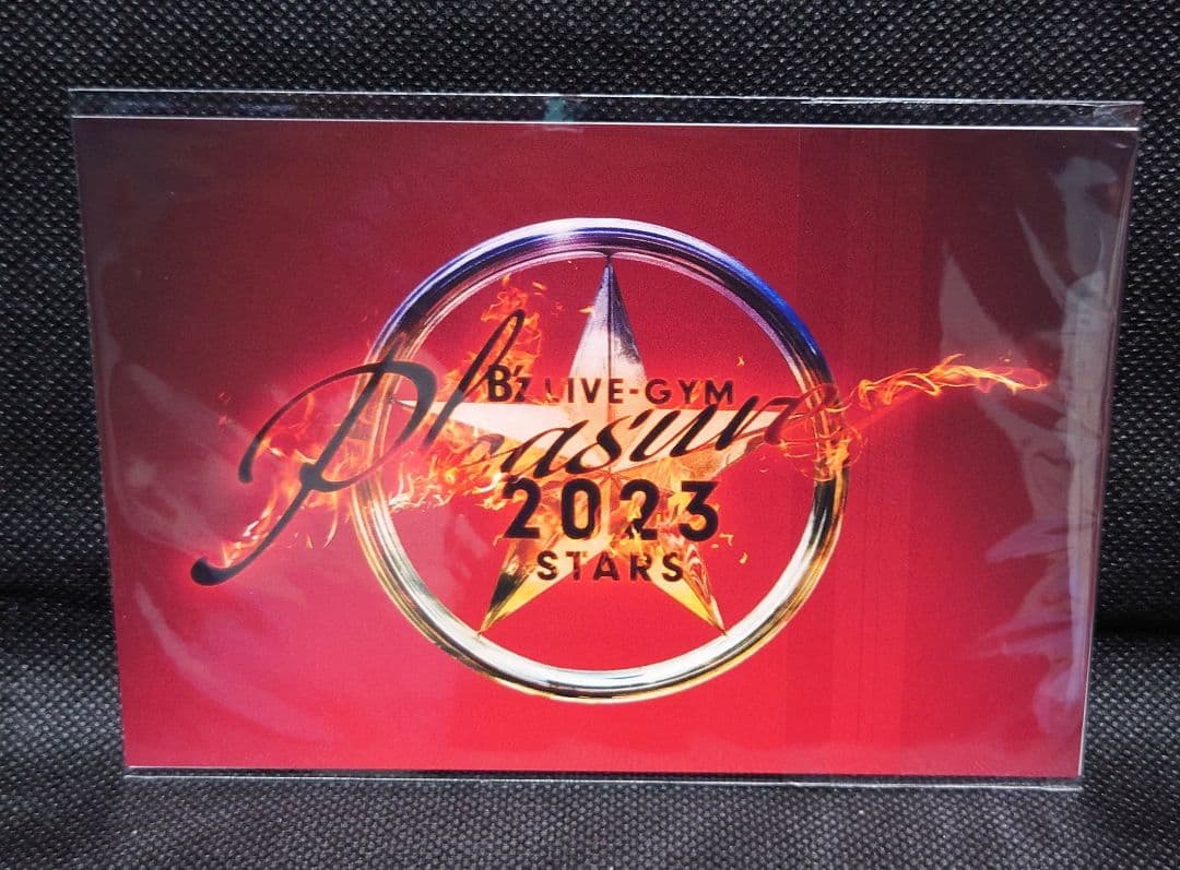 【popo113さま 専用ページ】B'z Pleasure 2023 STARS