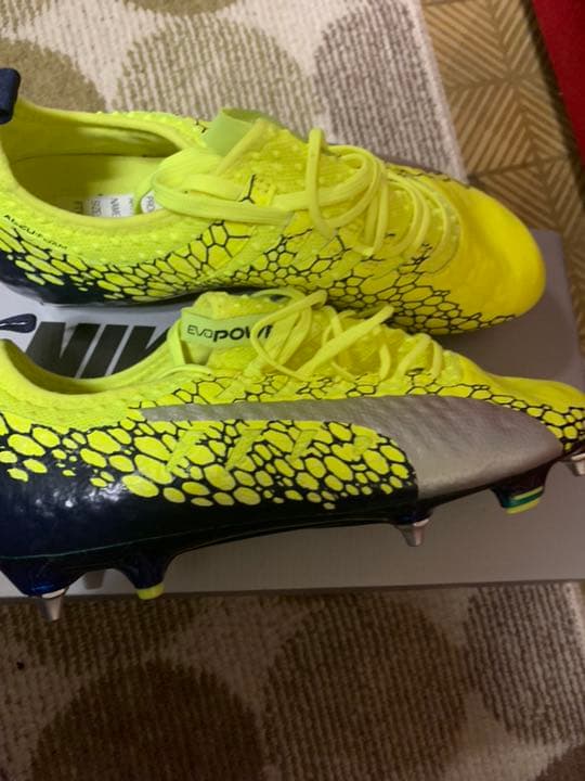 エヴォパワー取り替え式