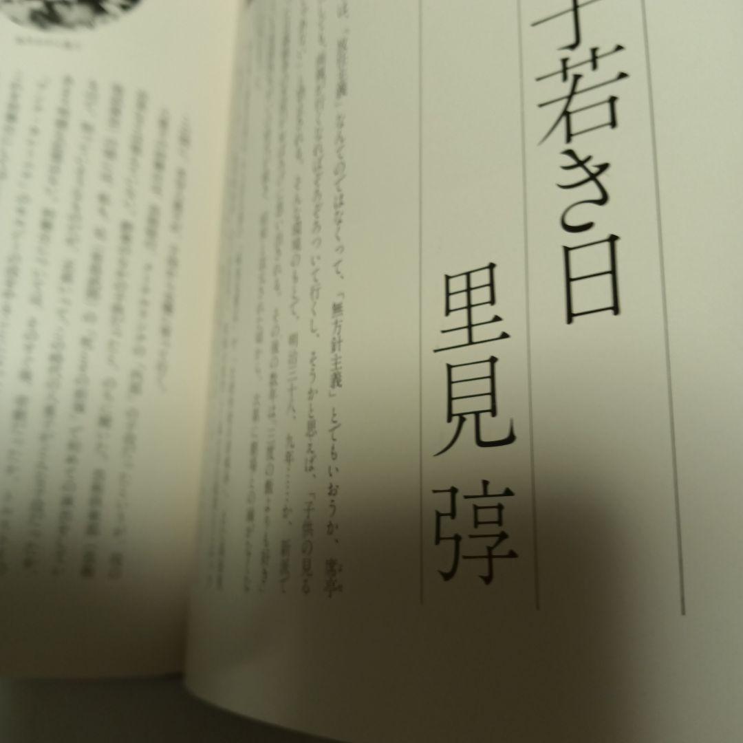 友近へお勧めあしあと 水谷良重水谷八重子写真集追悼公演パンフレット台本