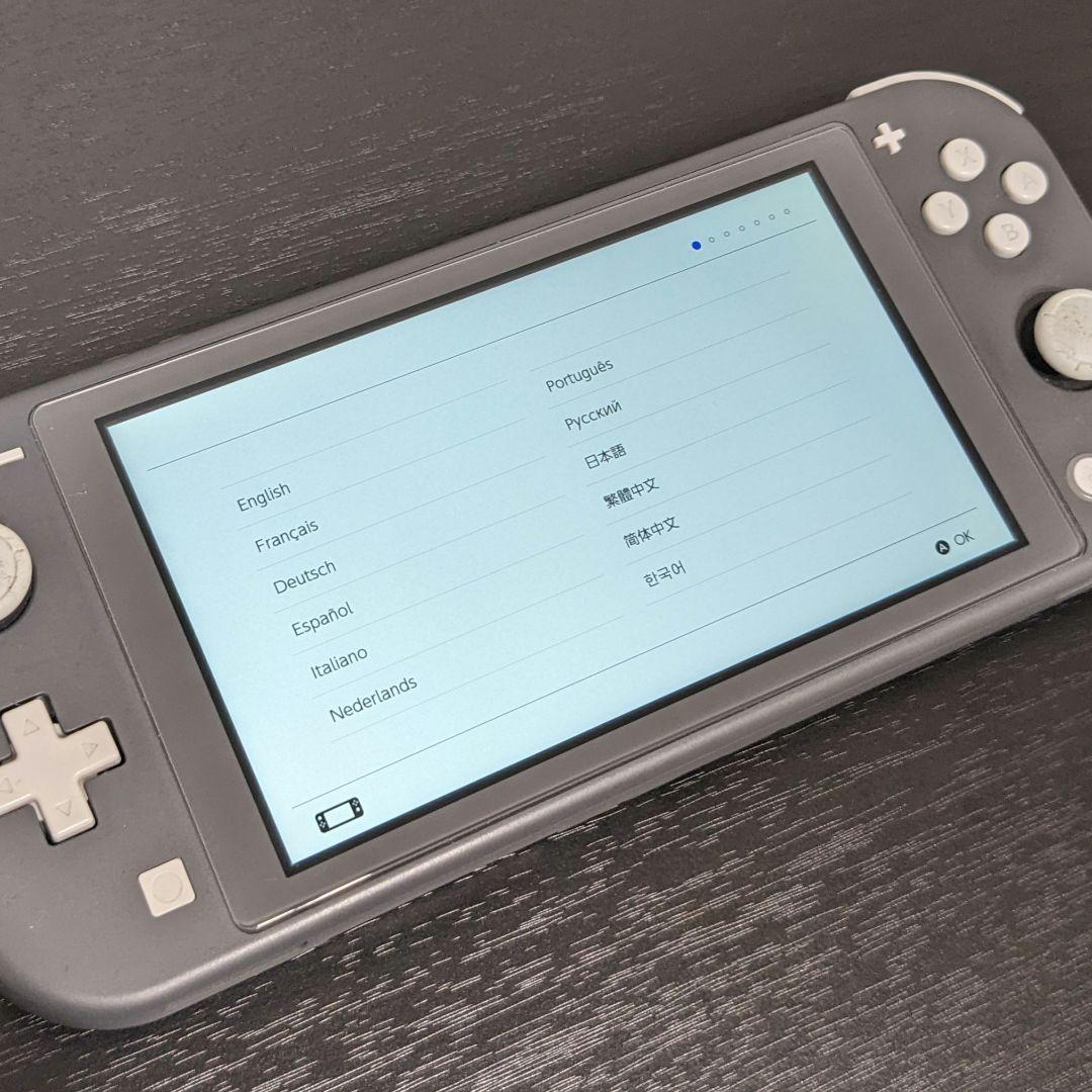 Nintendo Switch Lite グレー 本体　【箱・充電付】