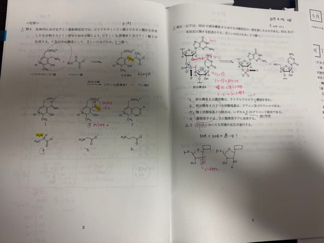 111回　薬ゼミ1年コース 振り返りプリント・確認テスト等