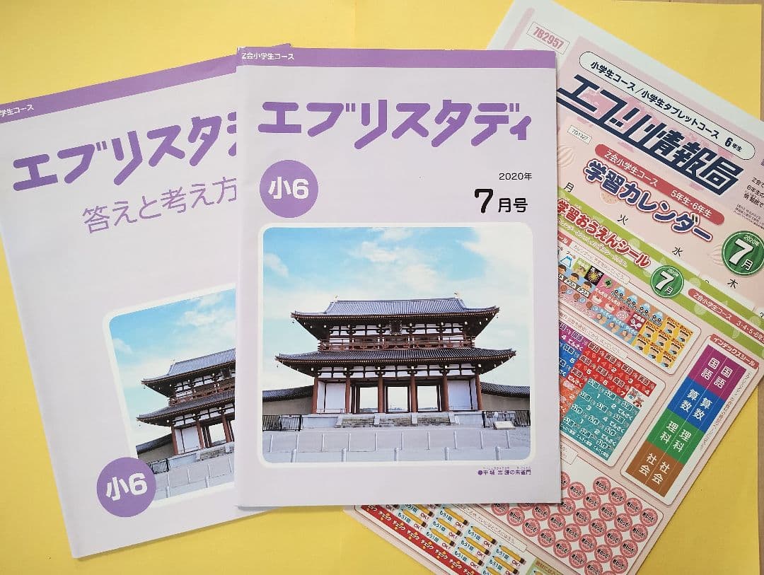 Z会 小6 エブリスタディ ハイレベル1年分