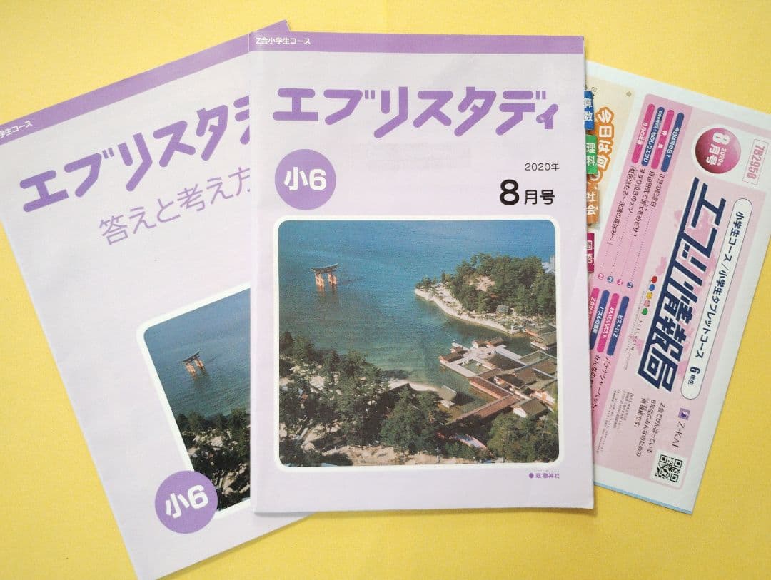 Z会 小6 エブリスタディ ハイレベル1年分