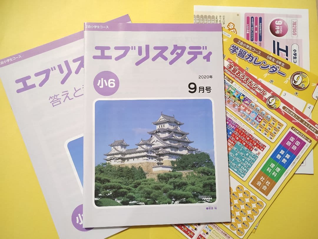 Z会 小6 エブリスタディ ハイレベル1年分