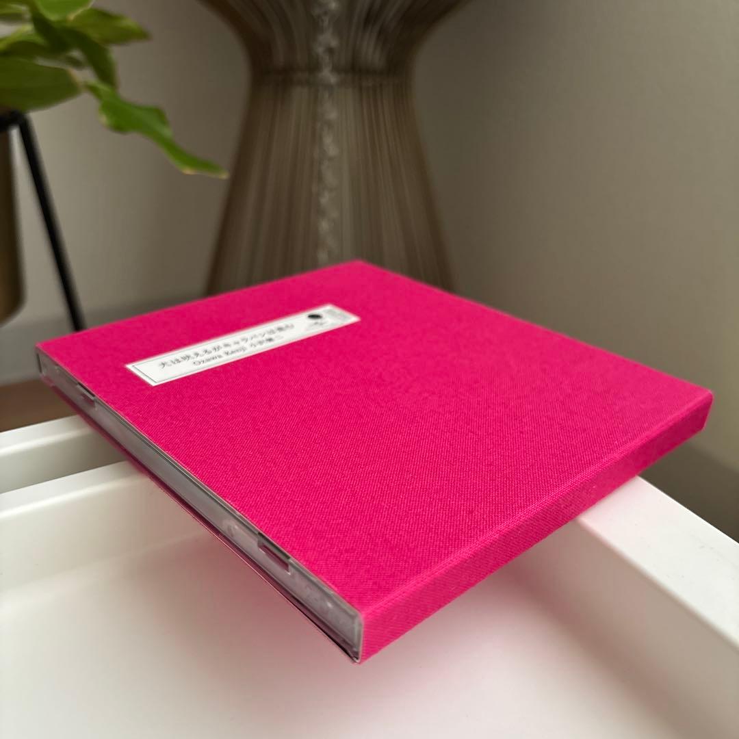 【２枚組】小沢健二 『犬は吠えるがキャラバンは進む（完全生産限定盤）』 希少