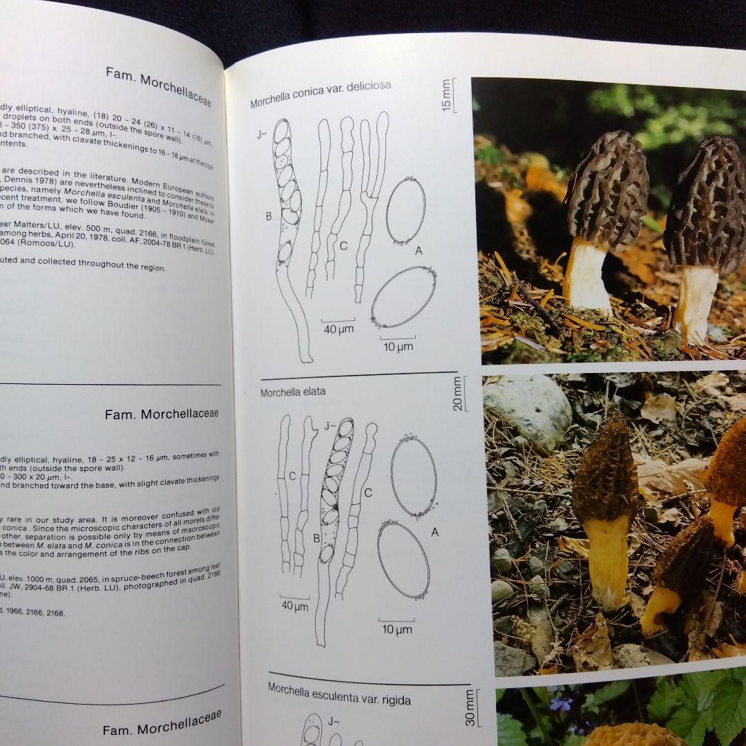 FUNGI OF SWITZERLAND 6冊セット