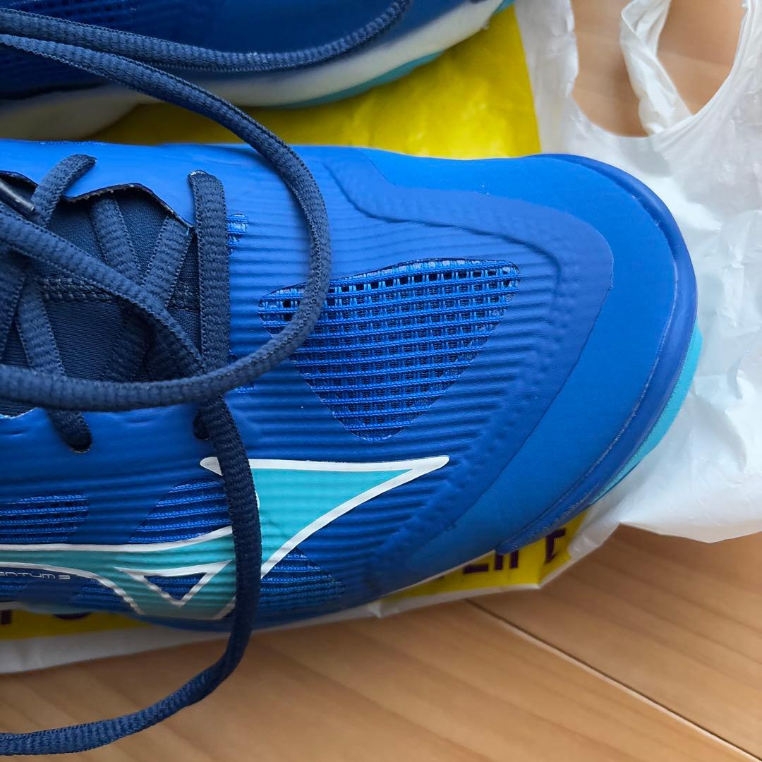 本日鳩ぽっぽさん専用