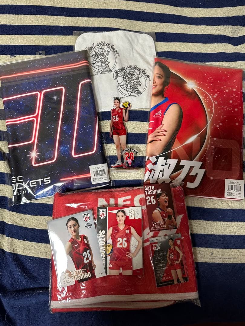 NECレッドロケッツ　佐藤淑乃グッズセット 日本代表