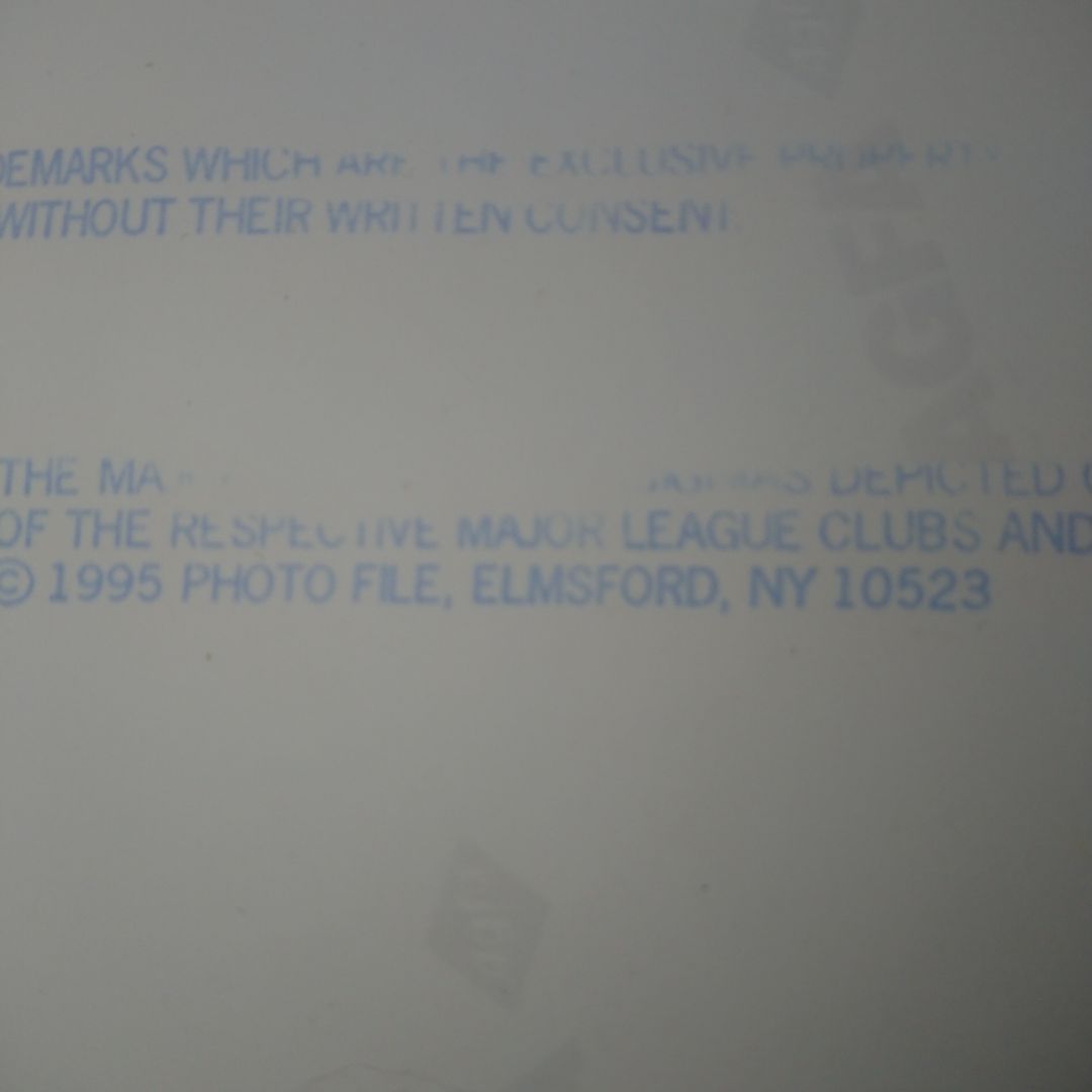野茂英雄・1995年ナショナルリーグ新人王・1996年ノーヒット・ノーラン額