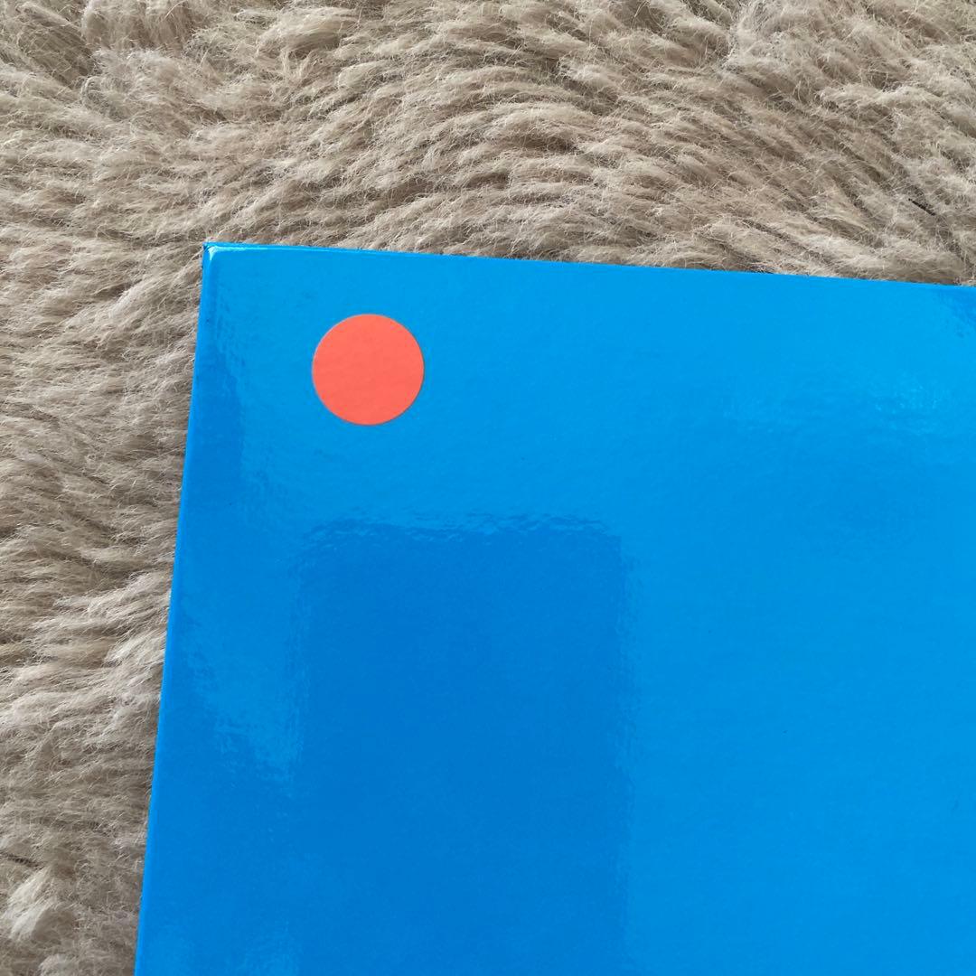 RIP SLYME / 楽園ベイベー リップスライム　レコード