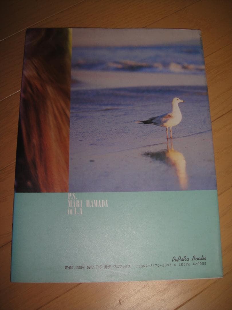 浜田麻里 ◆ DVD-2作品+非売品シングルCD+写真集+おまけ ◆★まとめて