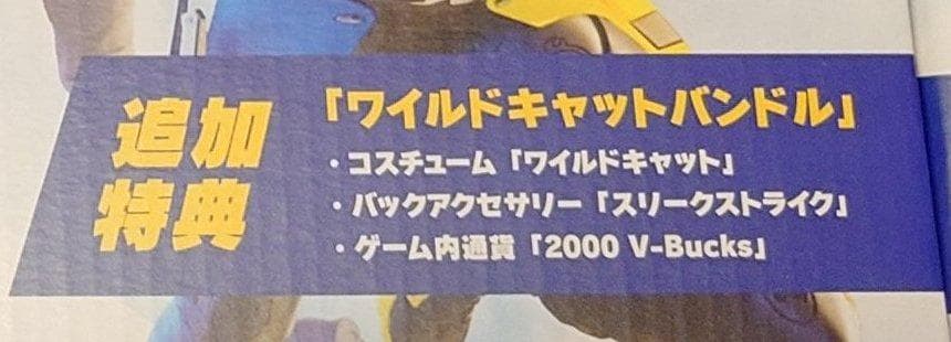 新品 特典 コード付き Switch 本体 フォートナイト Specialセット