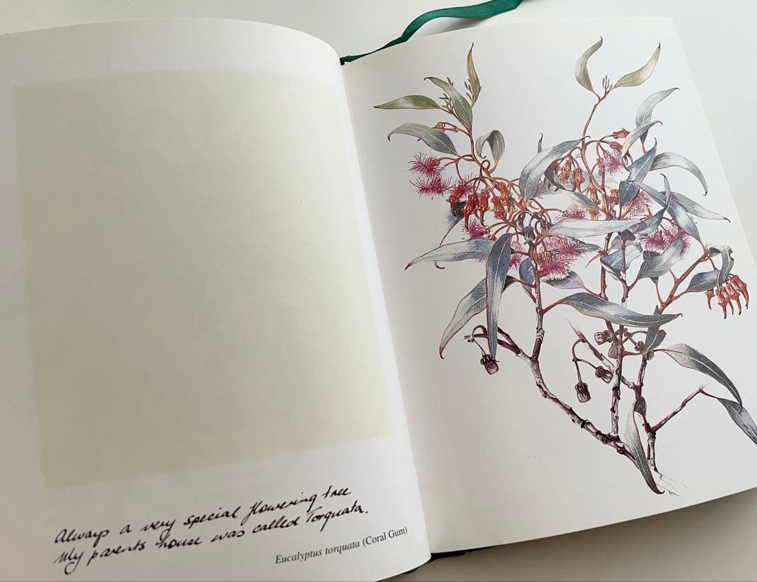 海外購入 洋書 Wildflowers in Watercolour＊インテリア