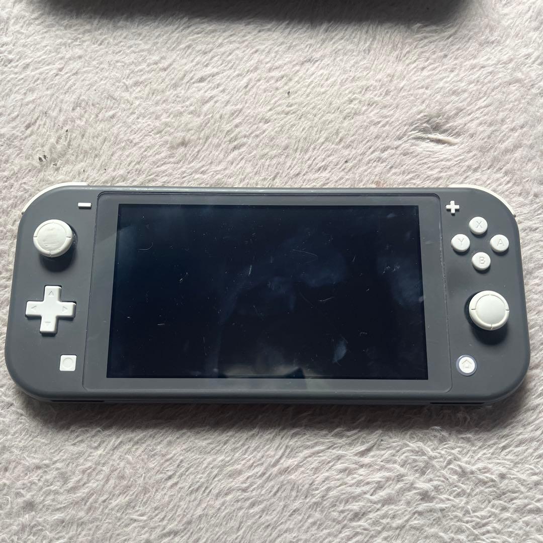 Nintendo Switch Lite グレー + ケース