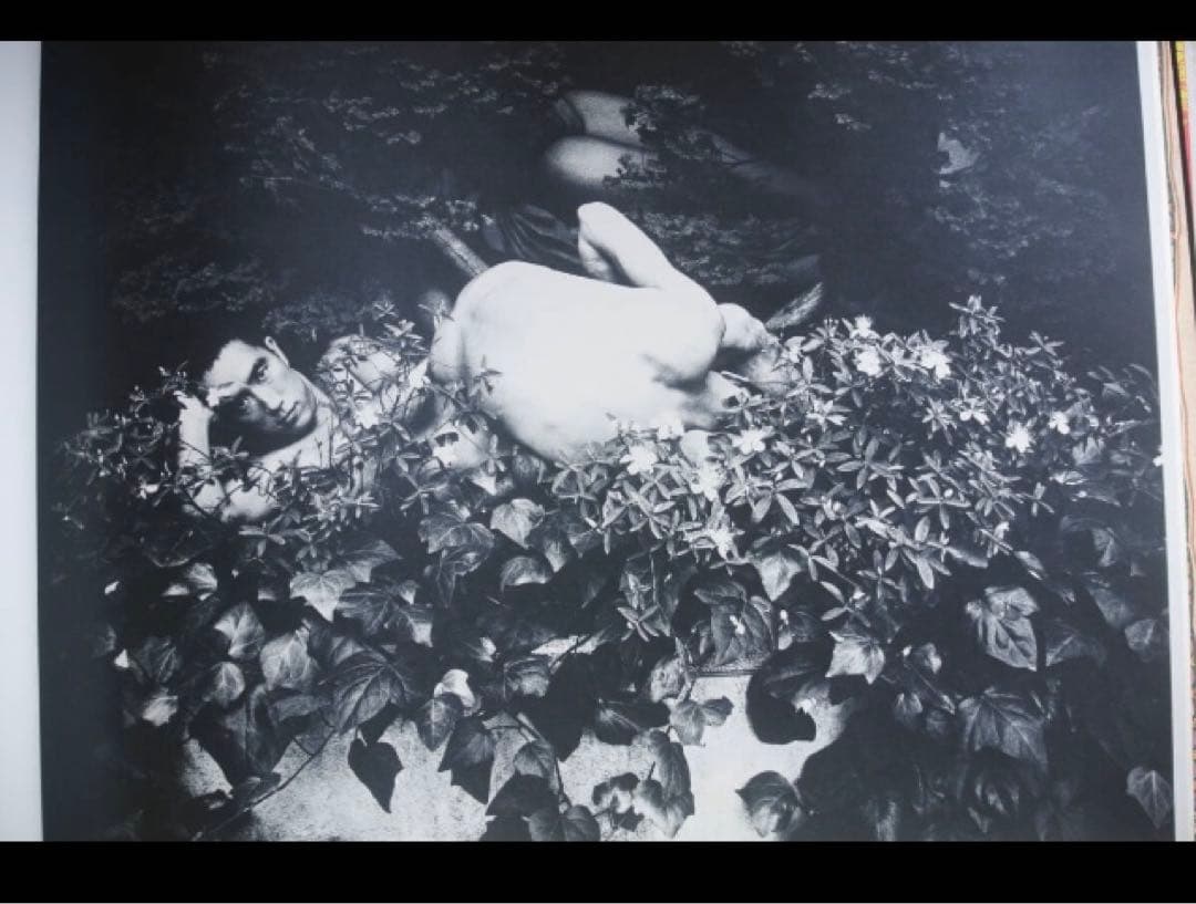 期間限定値下★薔薇刑 新輯版 細江英公 三島由紀夫 /横尾忠則 装幀 1971