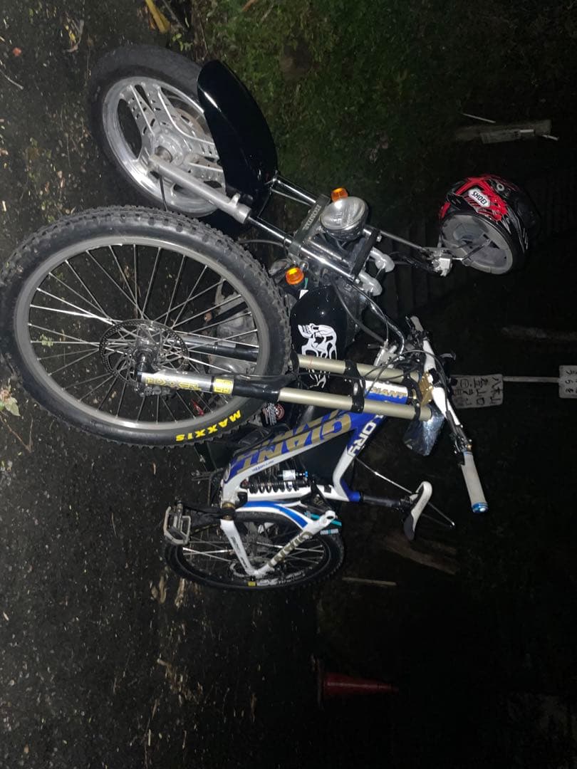 ジャイアントグローリー2013