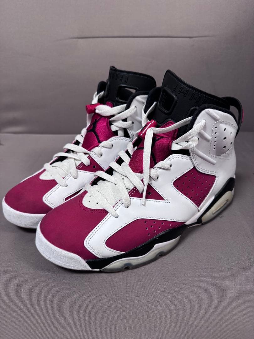 NIKE エアジョーダン6 CT8529-106 27.5cm