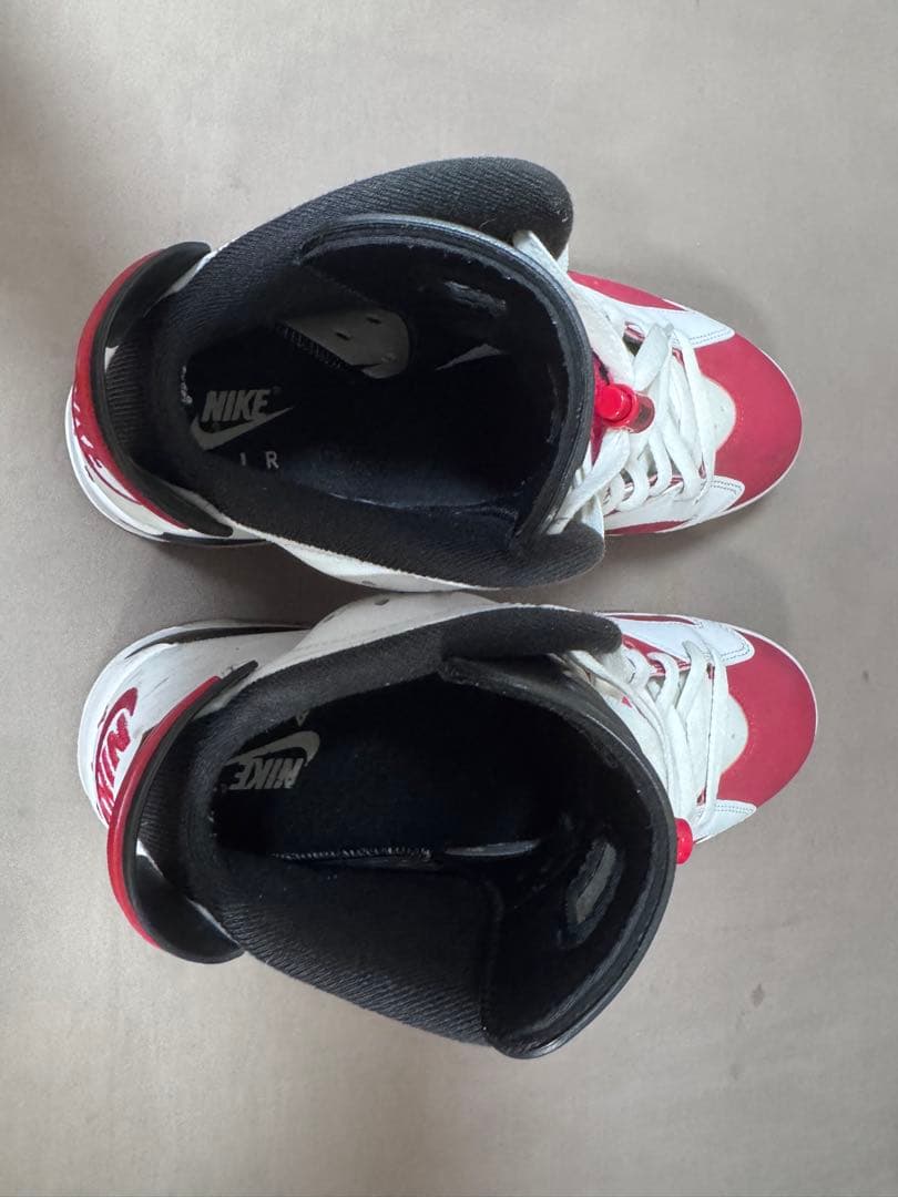 NIKE エアジョーダン6 CT8529-106 27.5cm