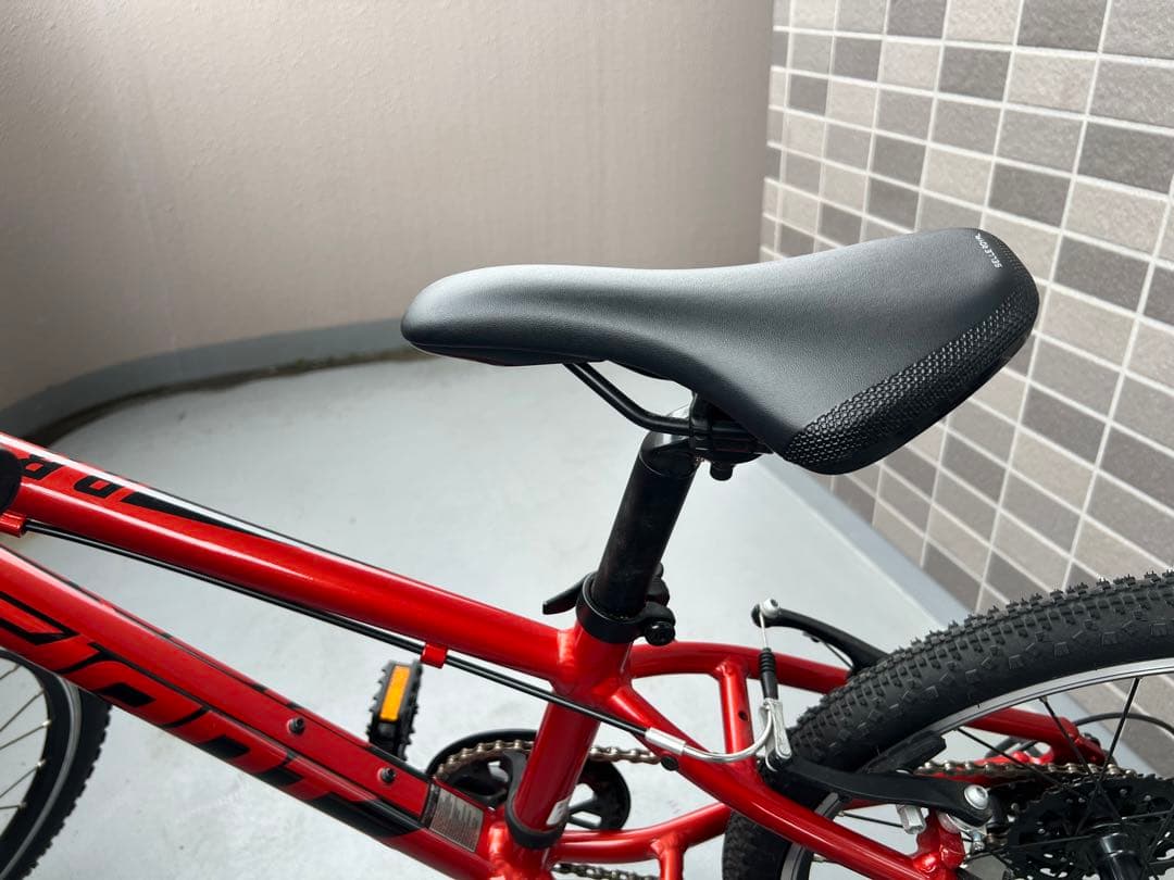 GIANT（ジャイアント）20インチ【引き取り限定】