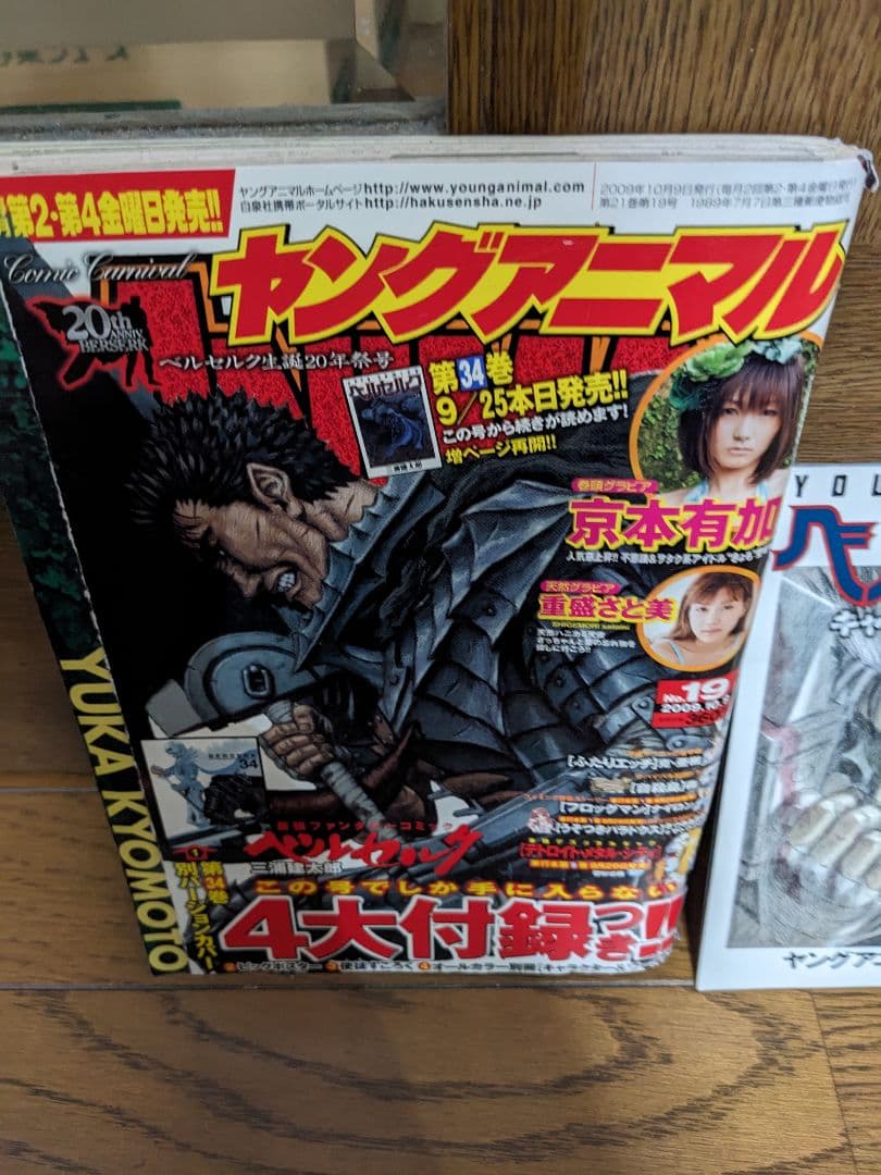 ヤングアニマル　2009年10月9日 19号　ベルセルク生誕20年祭号