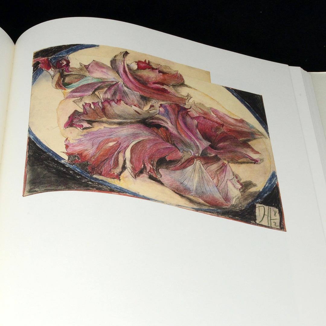 ホルスト・ヤンセン大判画集「NATURE MORTE」