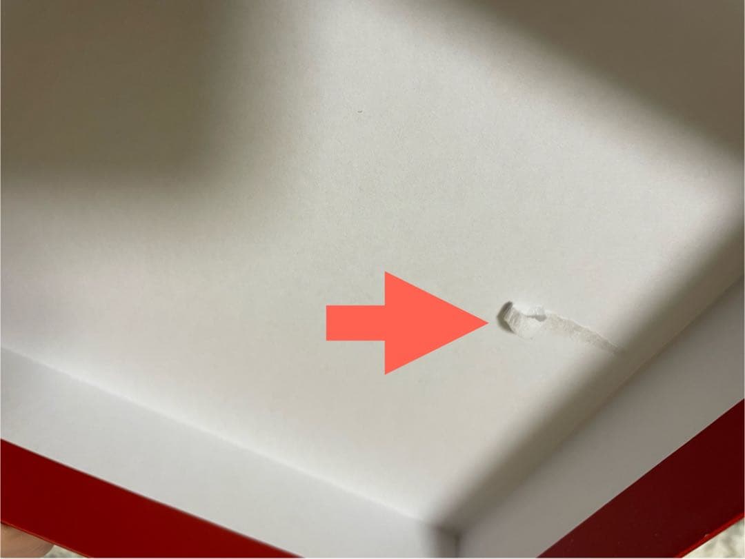 ある日、お姫様になってしまった件について　超豪華限定版　4巻