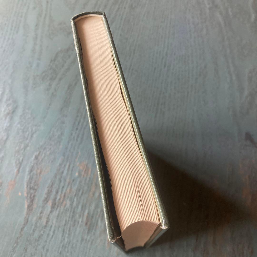 熱帯デルタの農業発展 高谷好一(著) メナム・デルタの研究 創文社 タイ稲作