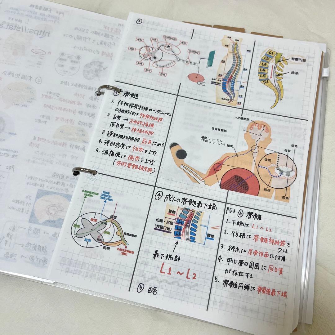 最新 2026 作業療法士 国家資格 必修ポイント セット まとめノート付き