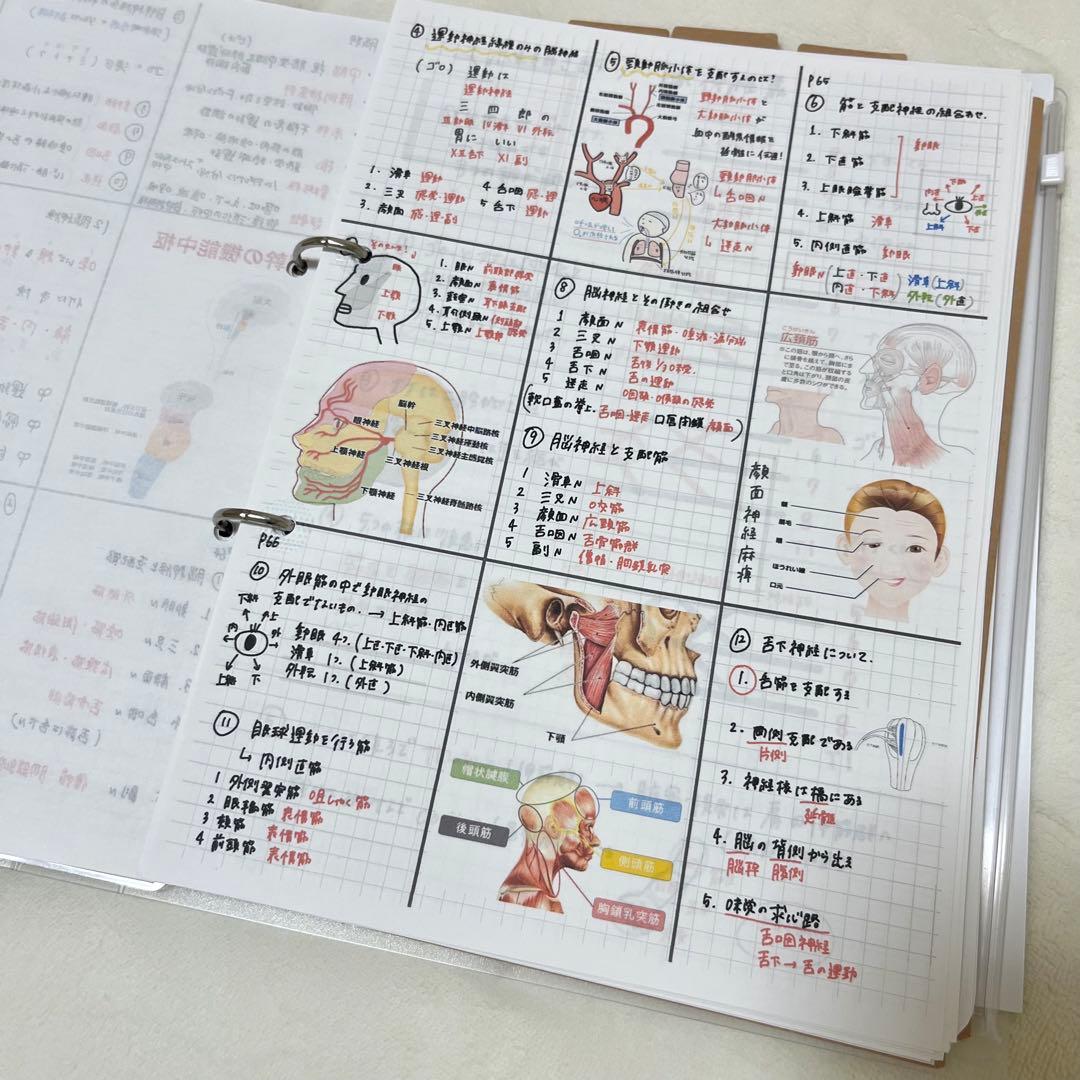 最新 2026 作業療法士 国家資格 必修ポイント セット まとめノート付き