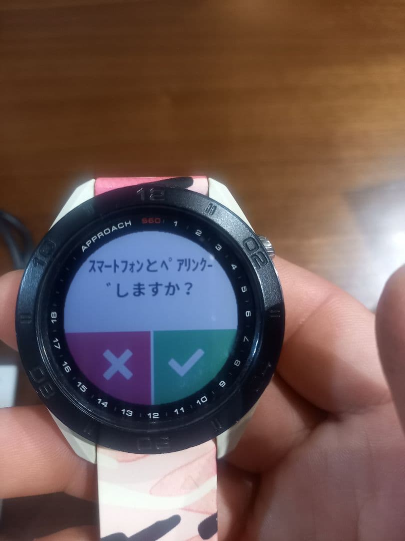 説明文必読！ジャンク！GARMIN APPROACH S60 GPS