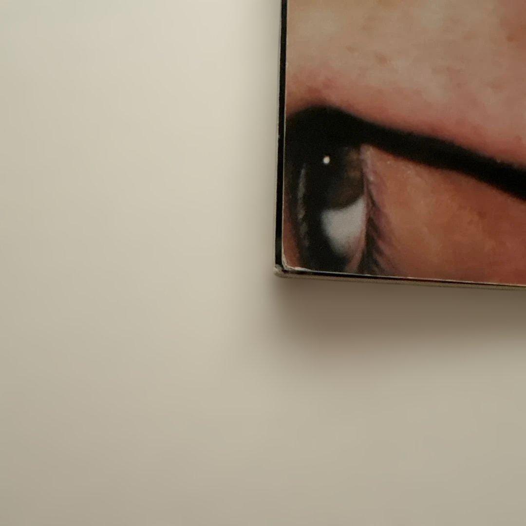 アート・デザイン・音楽 The Virgin Suicides PREMIRE ISSUE