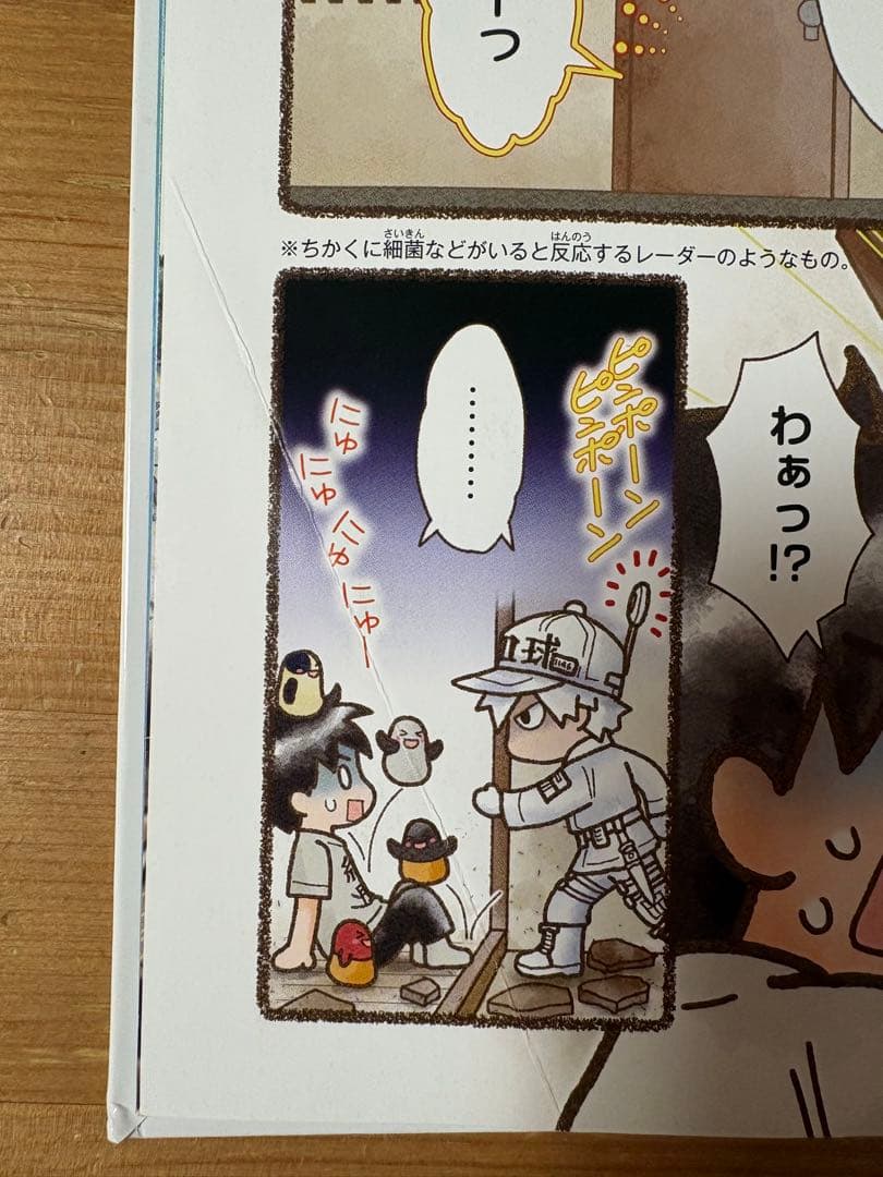 はたらく細胞　全巻セット