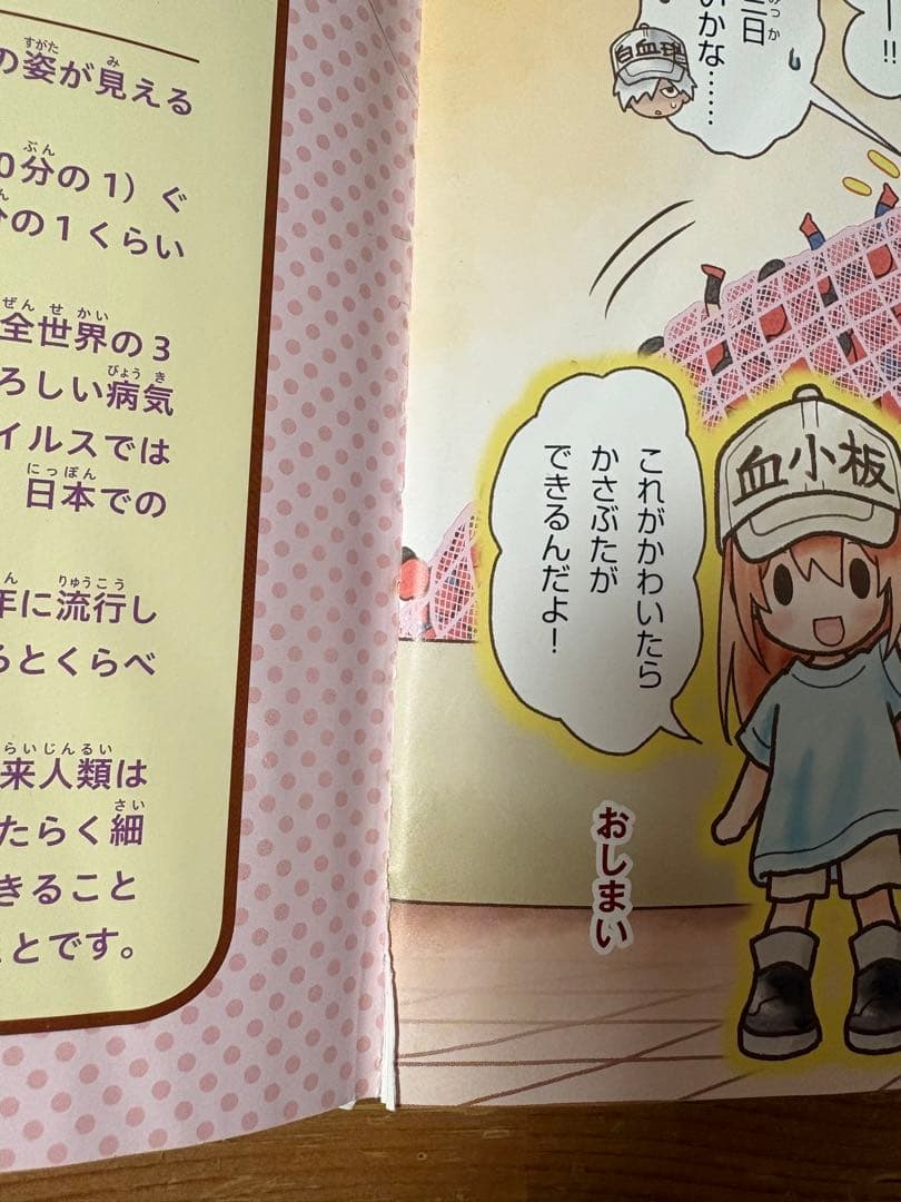 はたらく細胞　全巻セット