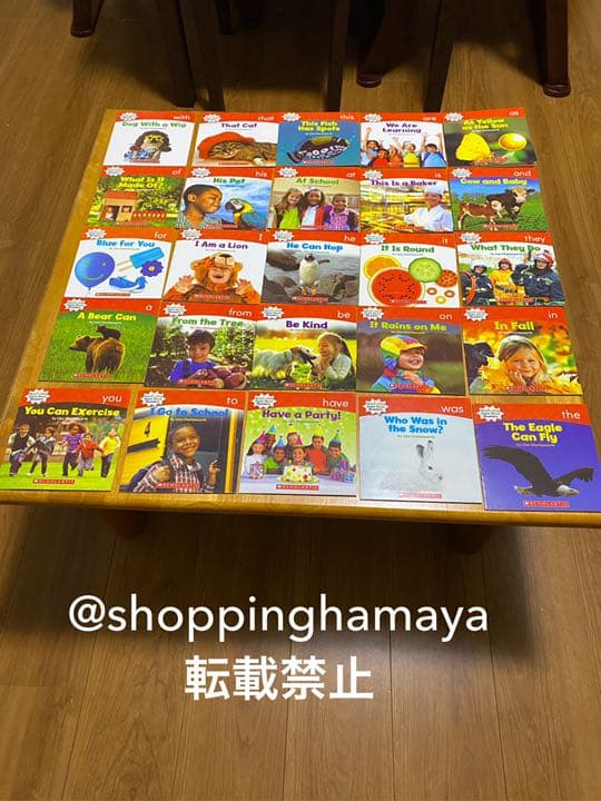 NonfictionSight Word ReadersABCD100冊セット